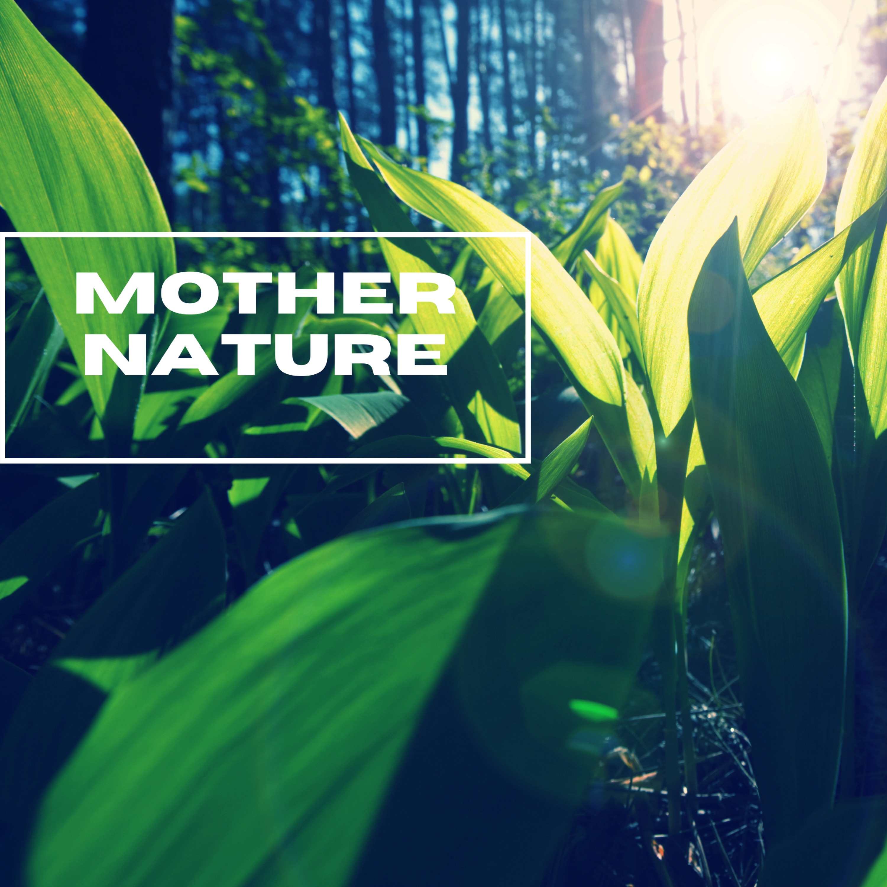 Mother Nature: Rain In the Forest - EP album cover