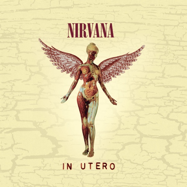 In Utero (20th Anniversary Edition) album cover