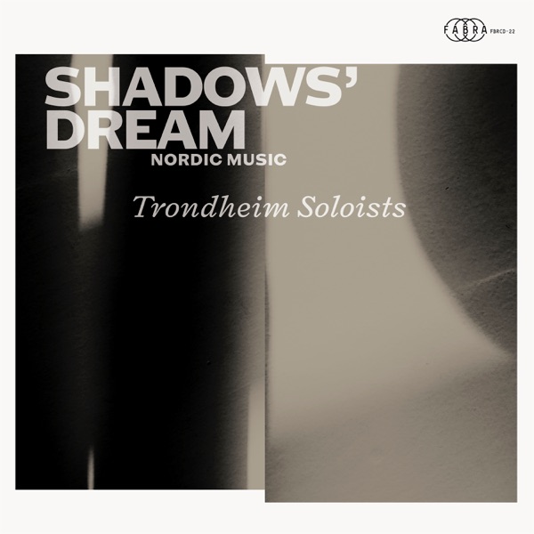 Shadows' Dream album cover