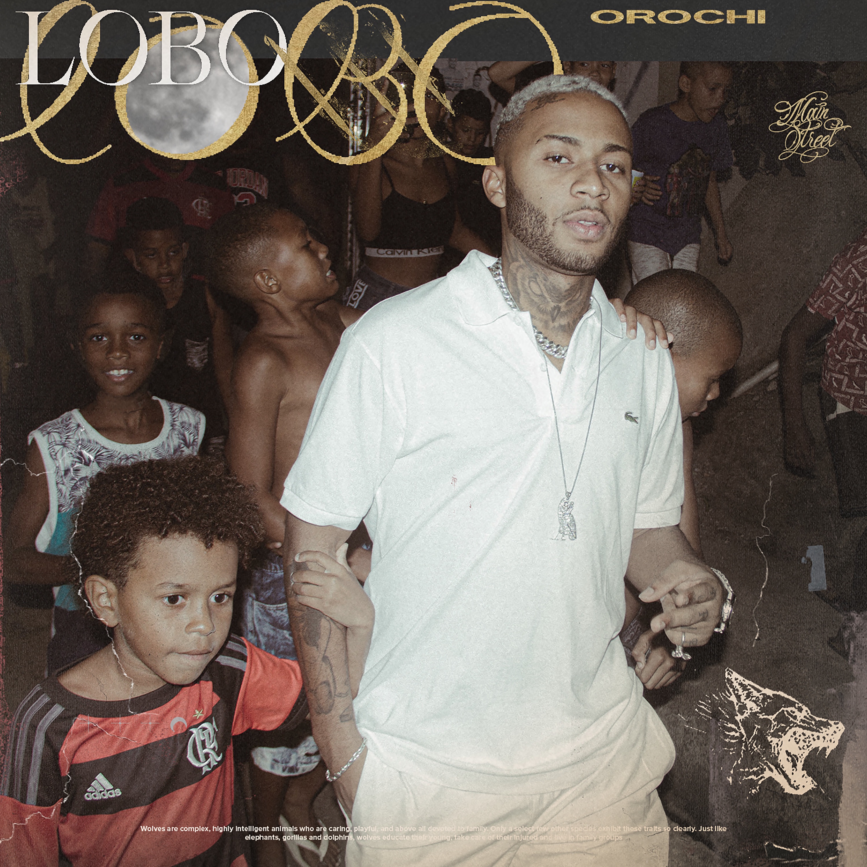 Lobo album cover