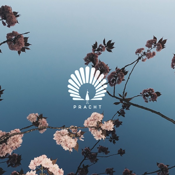 Caprice - Single album cover