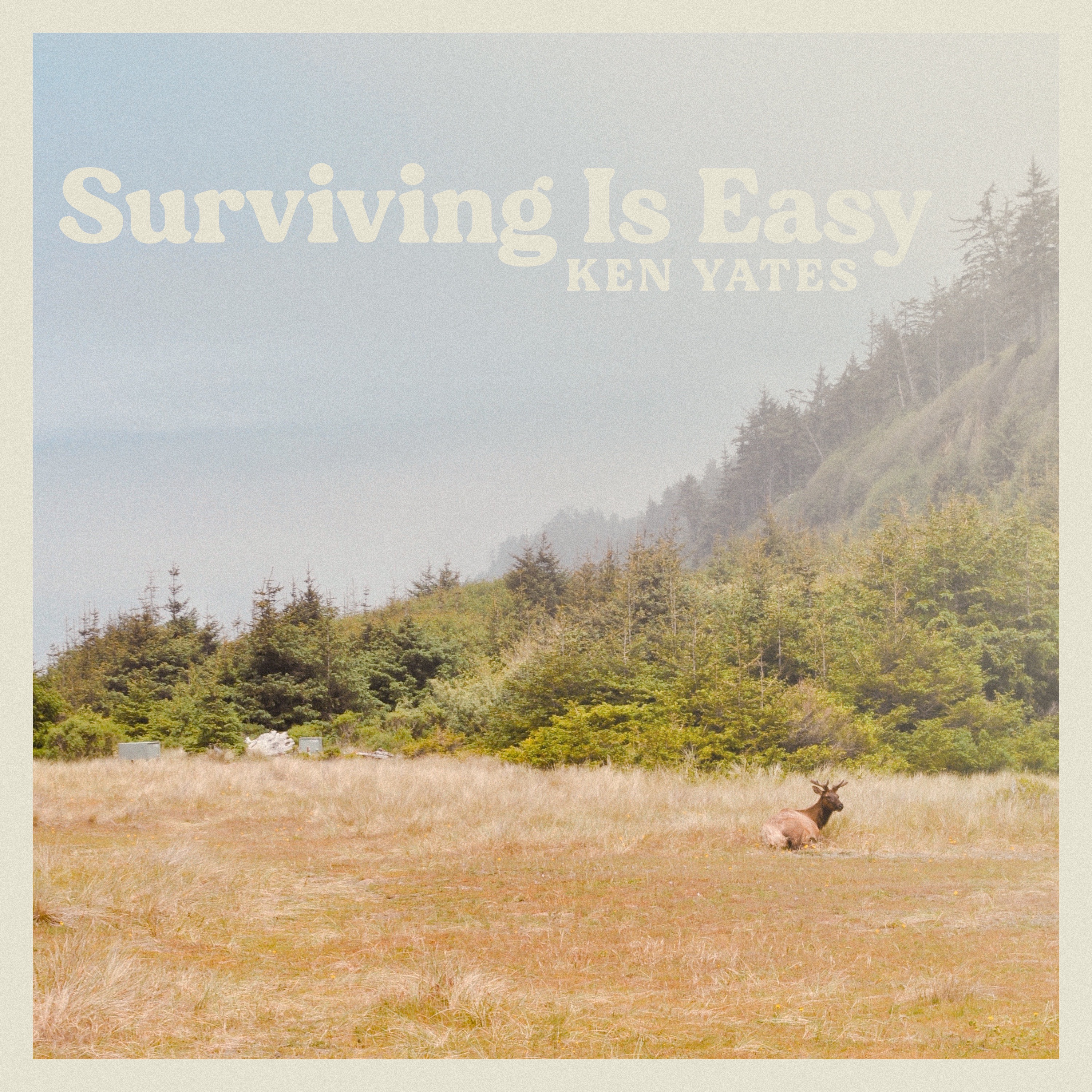 Surviving Is Easy - Single album cover