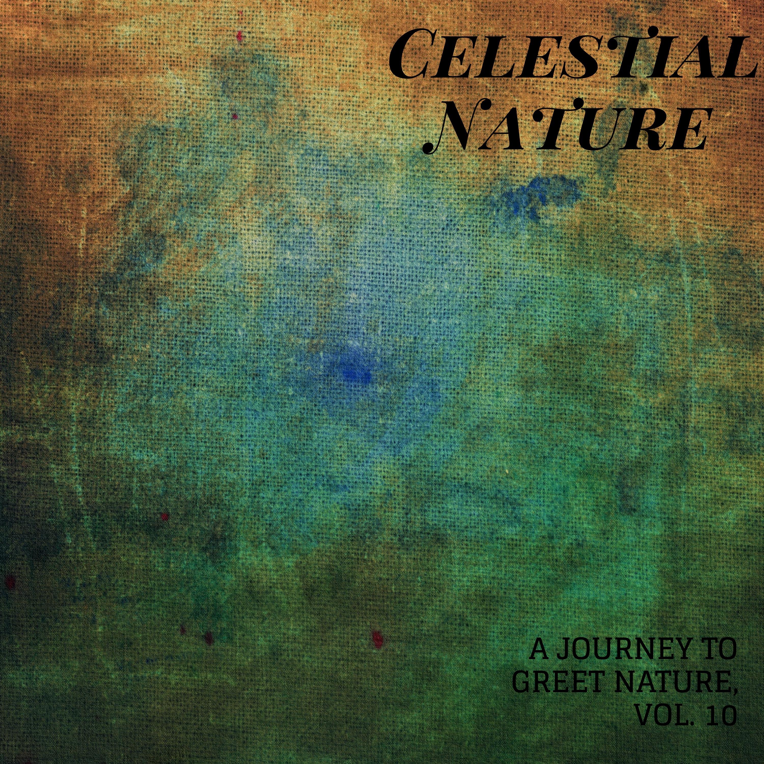 Celestial Nature - A Journey to Greet Nature, Vol. 10 album cover