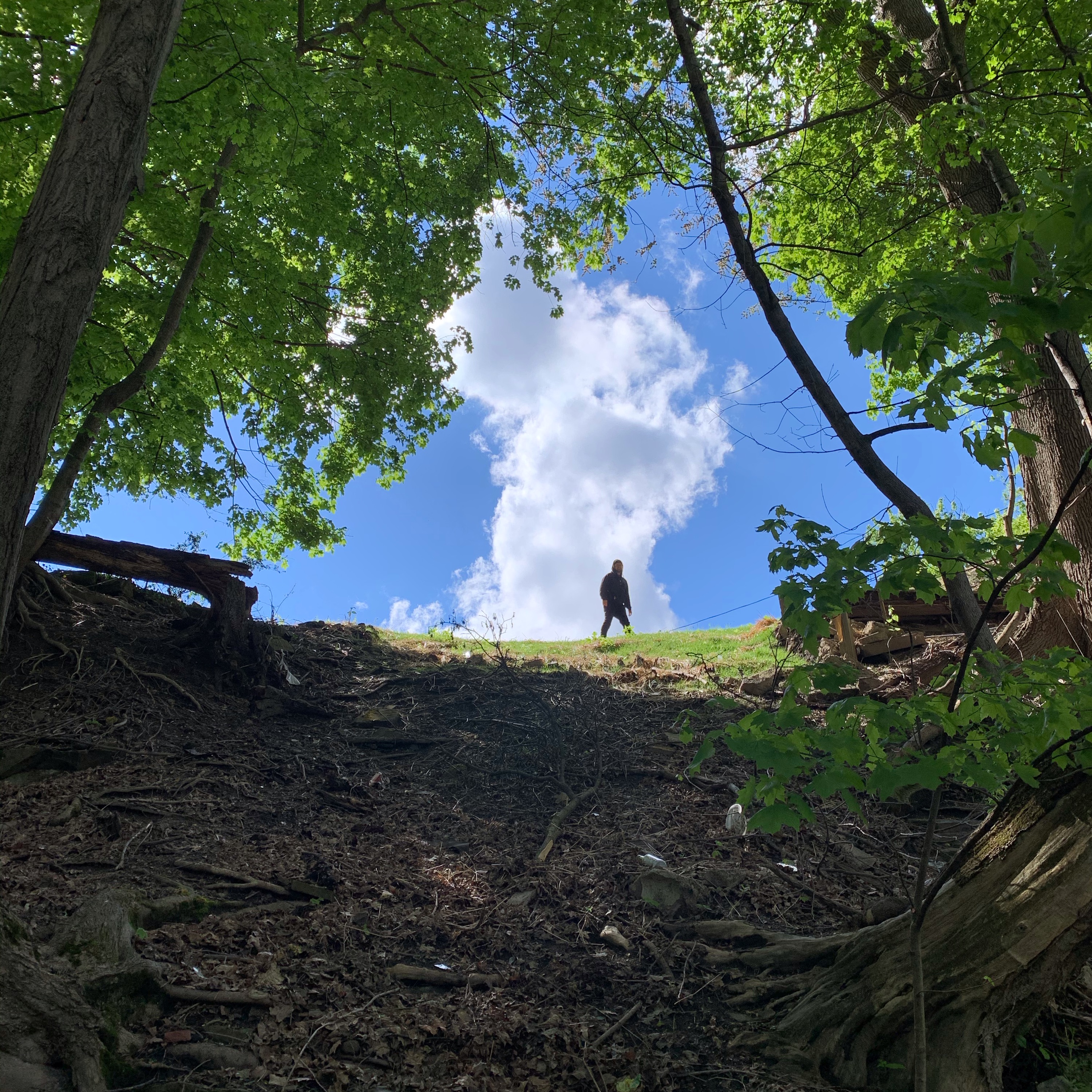 Galen Tipton portrait