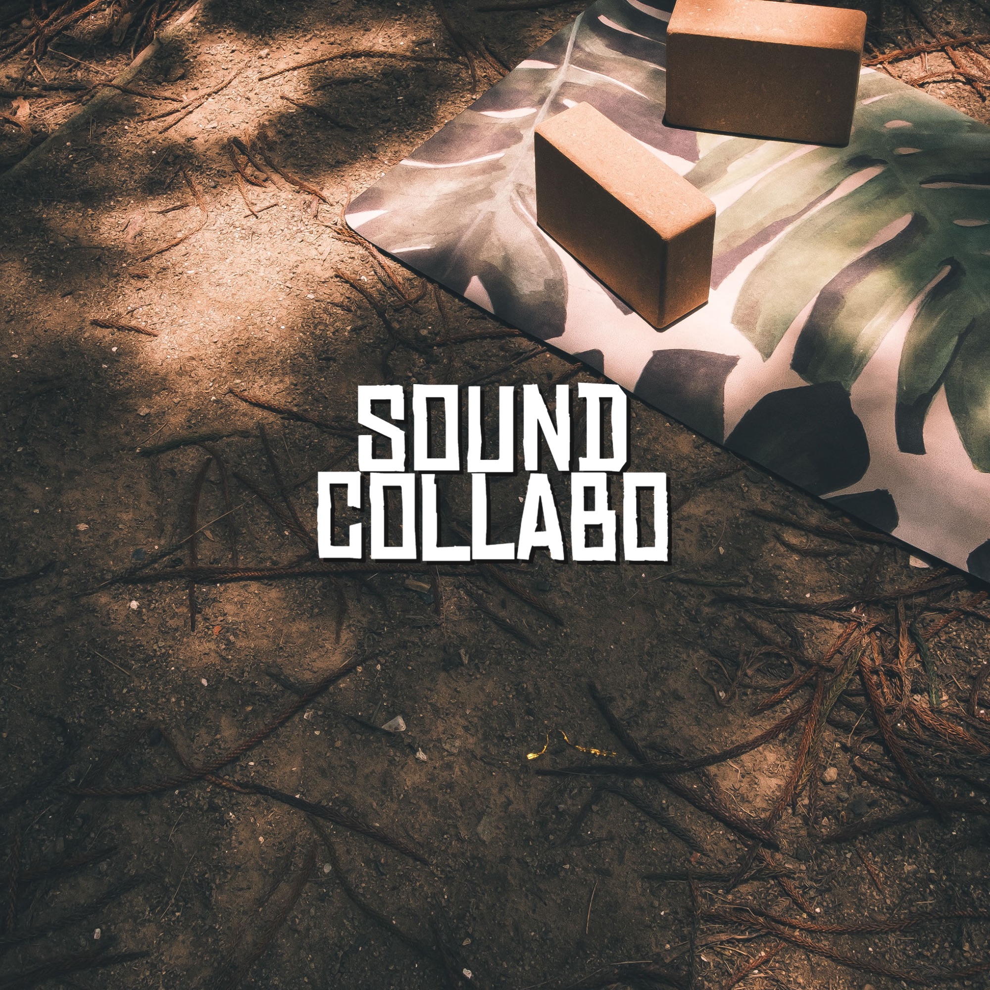 Nature Sounds In the Mountains - Single album cover