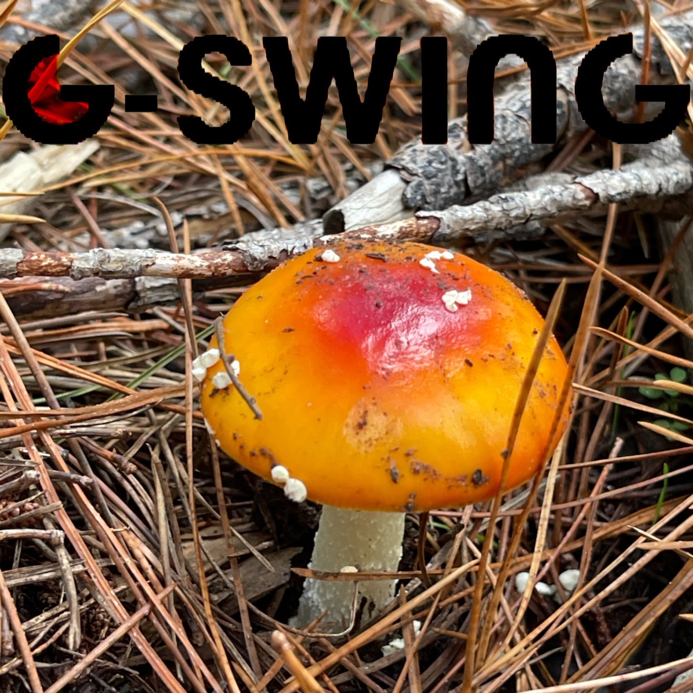 Speakeasy (feat. Gerty Green Mill) - Single album cover