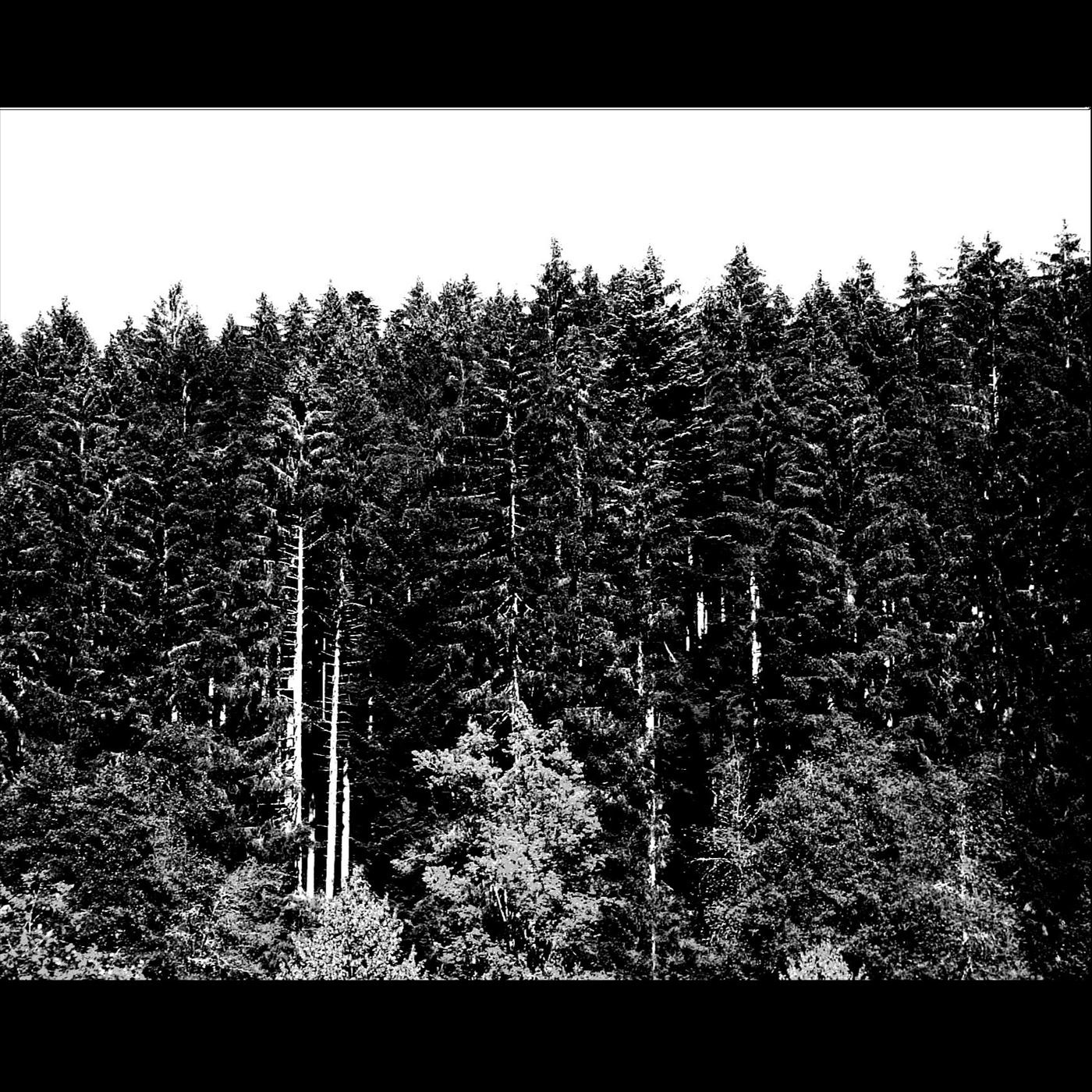 Vorkoma EP album cover