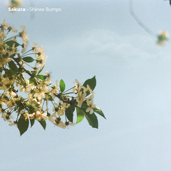 Shinee Bumps album cover