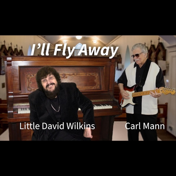 I'll Fly Away (feat. Little David Wilkins) - Single album cover