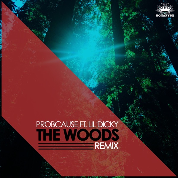 The Woods (feat. Lil Dicky) [Remix] - Single album cover