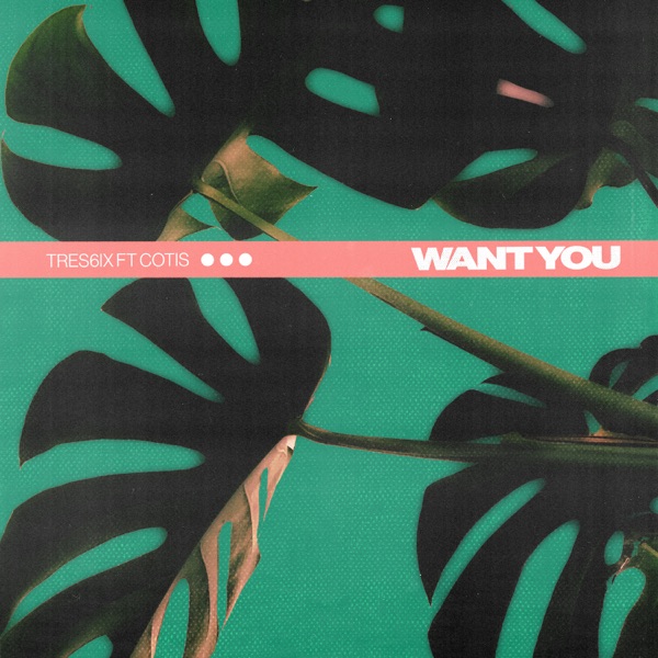 Want You - Single album cover
