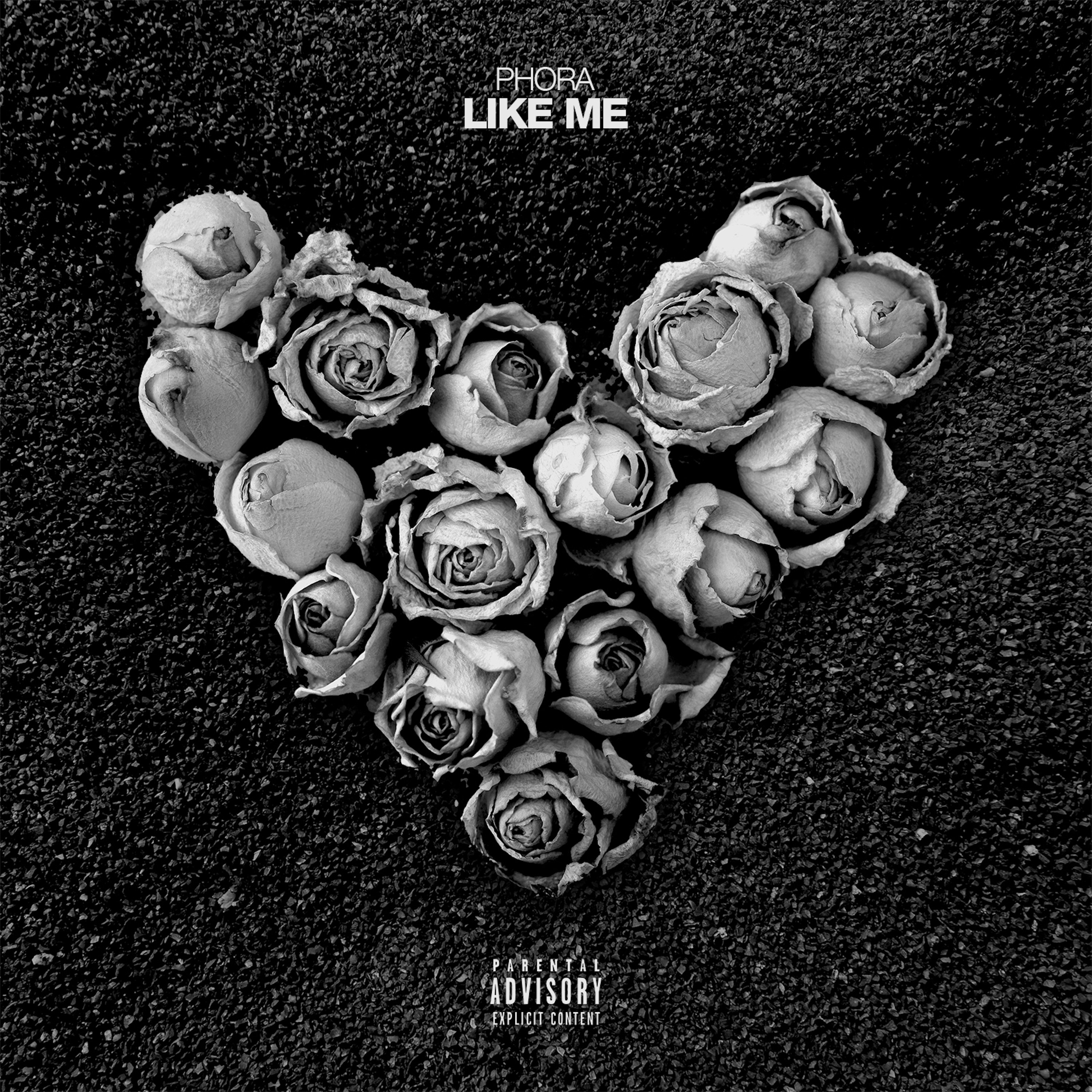 Like Me - Single album cover