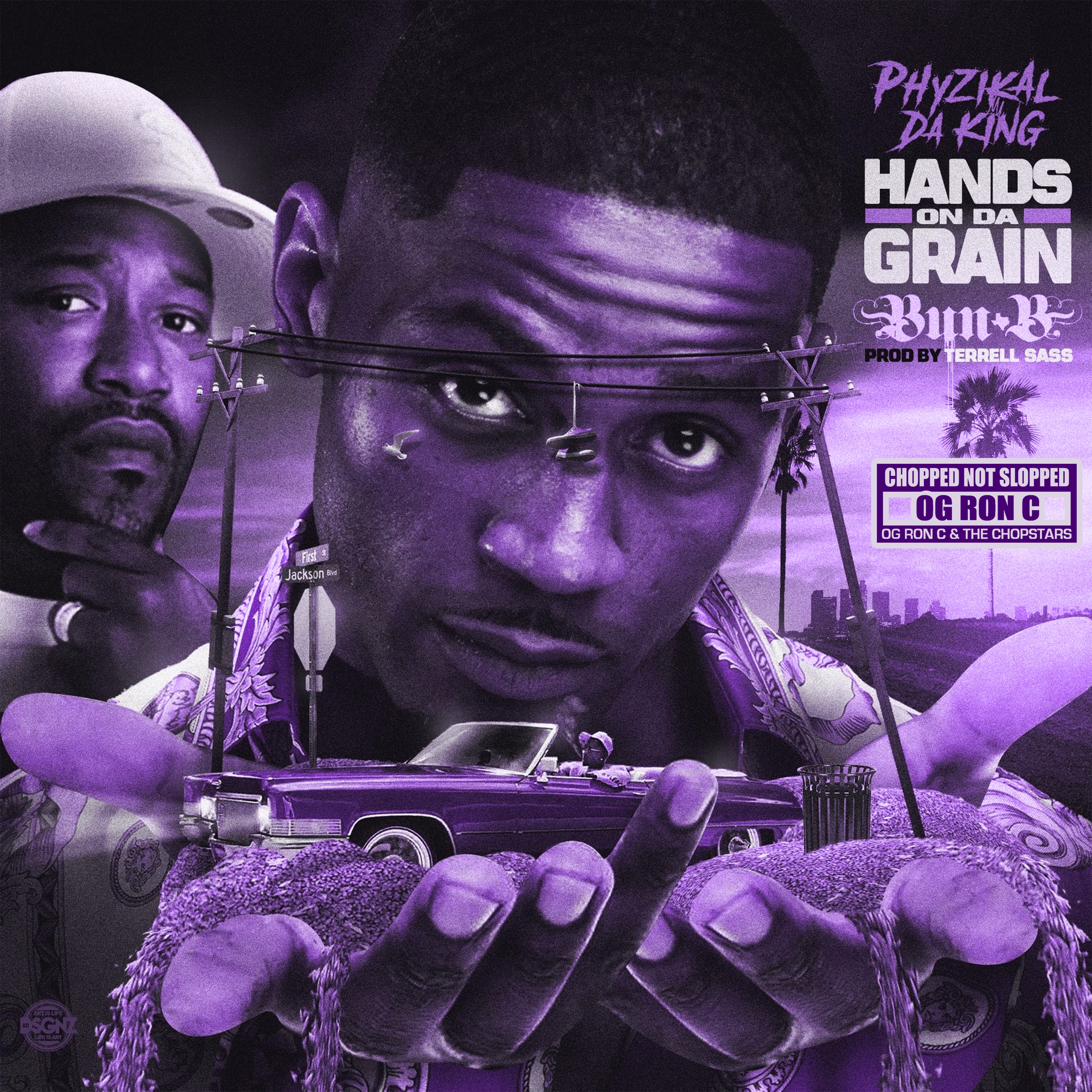 Hands on Da Grain (Chopped Not Slopped) - Single album cover