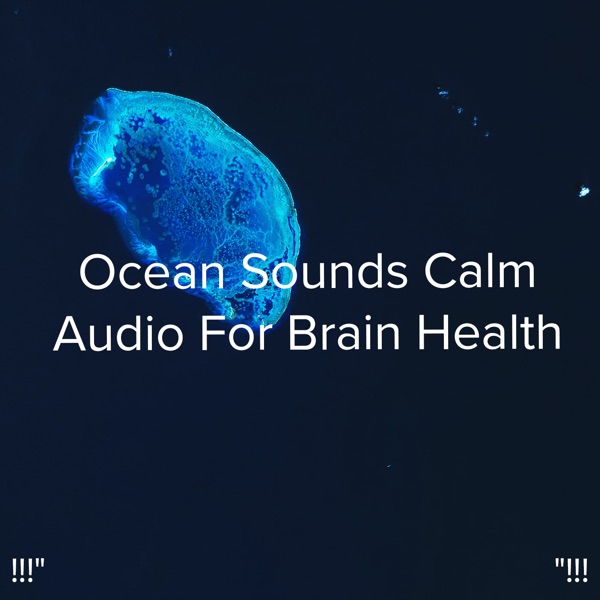 !!!" Ocean Sounds Calm Audio for Brain Health "!!! album cover