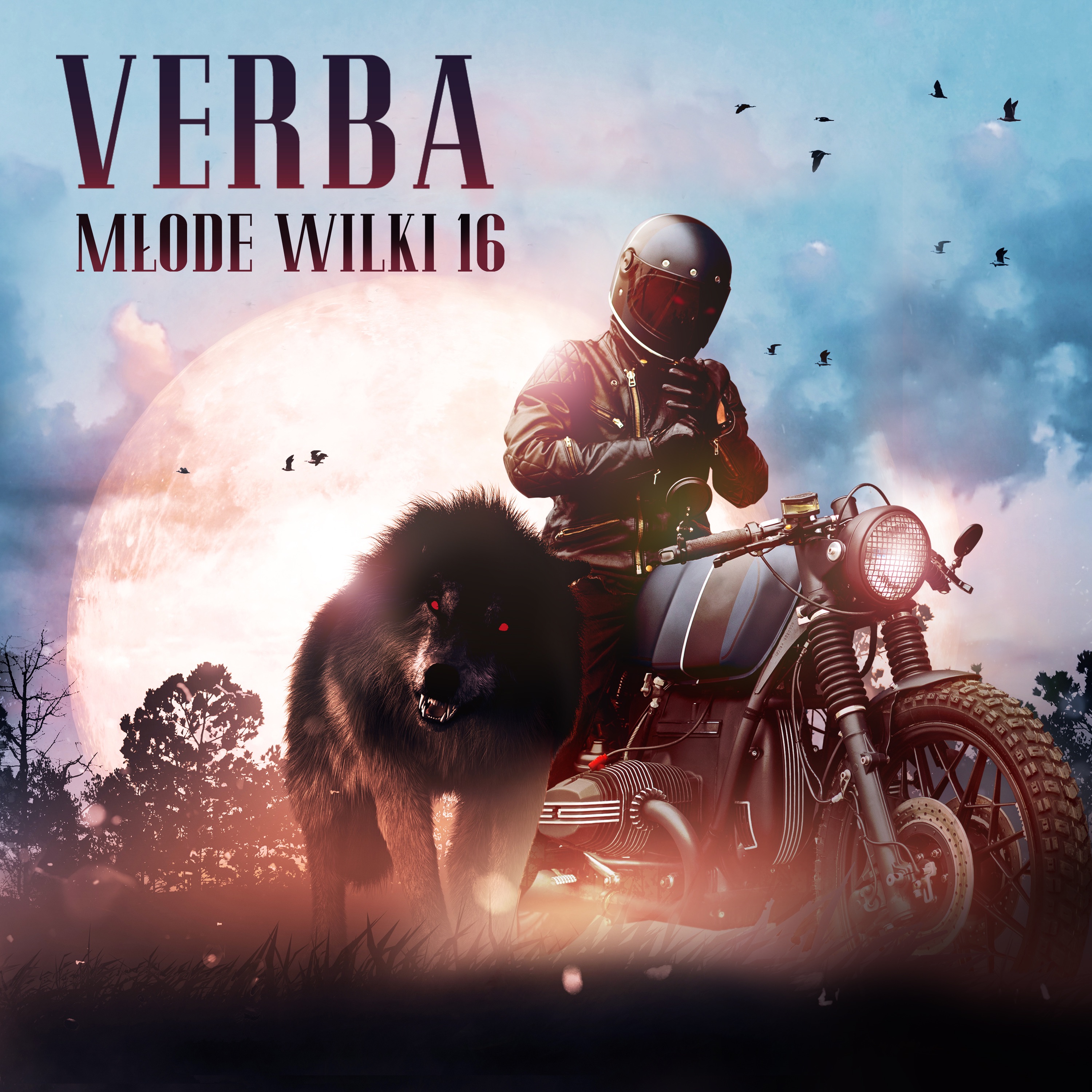 Młode Wilki 16 - Single album cover