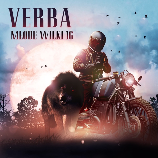 Młode Wilki 16 - Single album cover