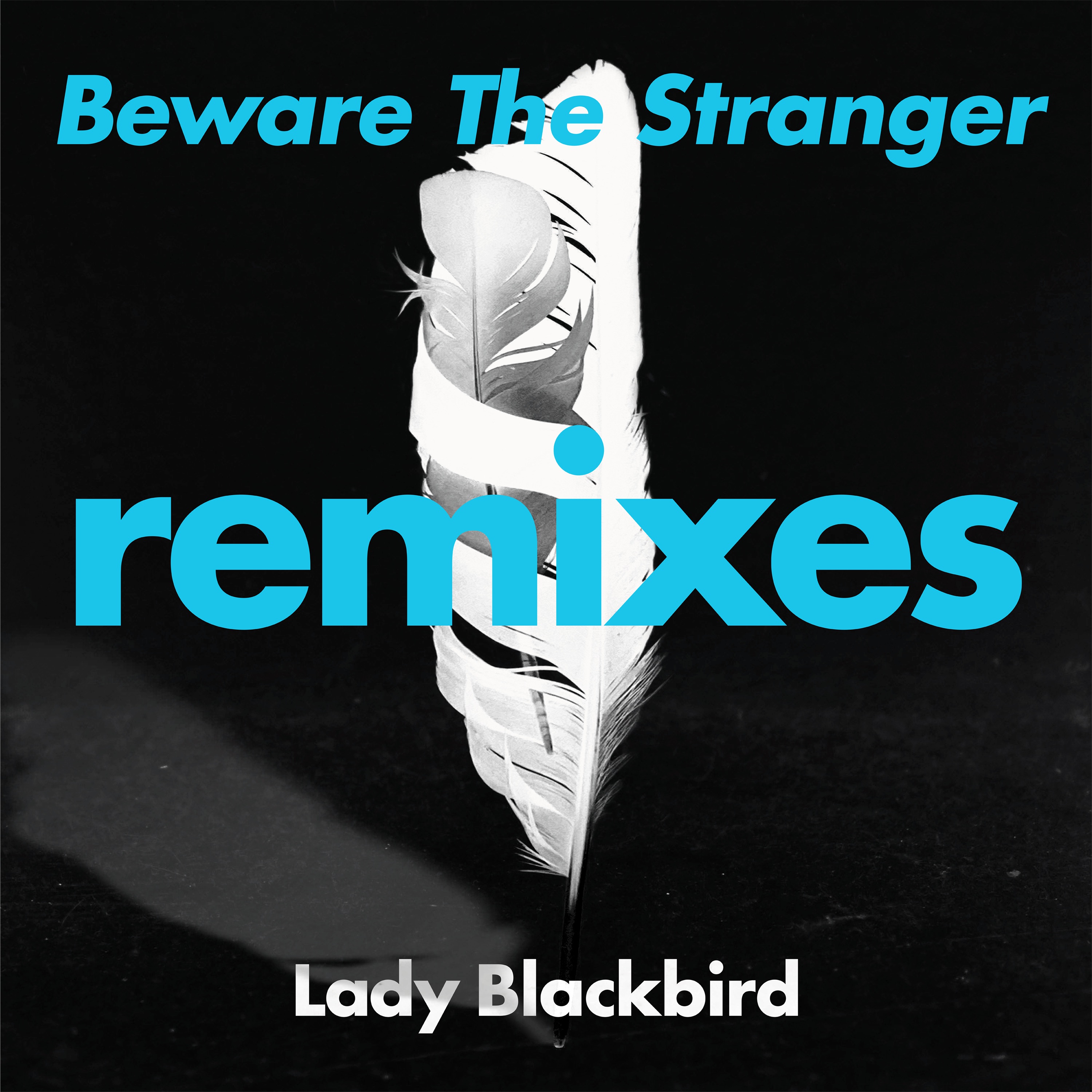 Beware The Stranger (Remixes) album cover
