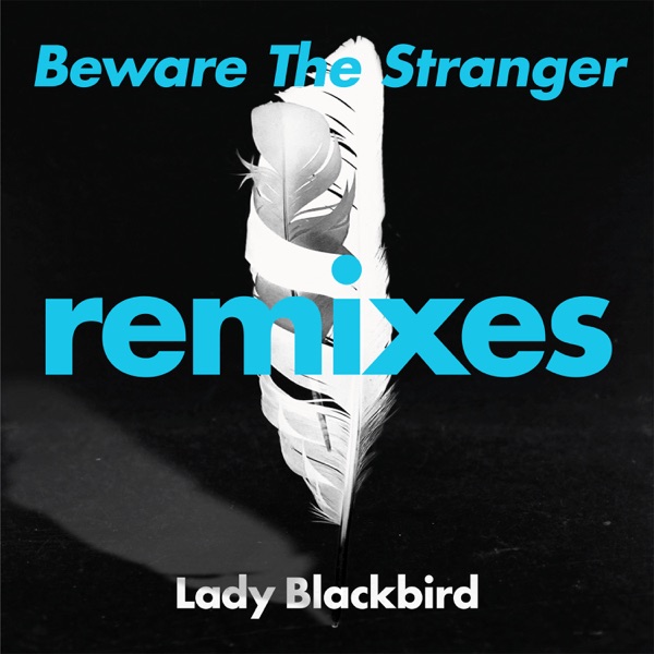 Beware The Stranger (Remixes) album cover