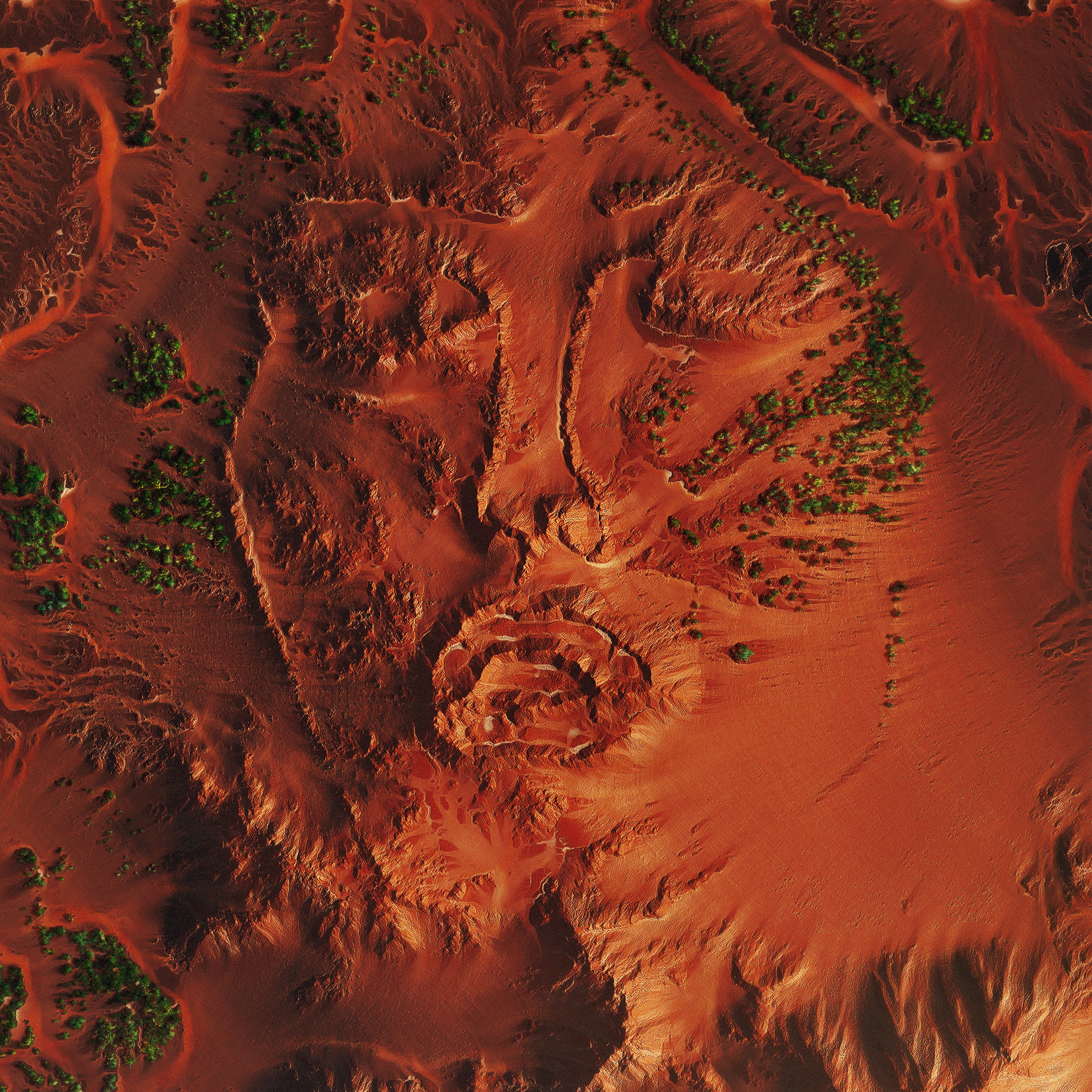 Douha (Mali Mali) - Single album cover