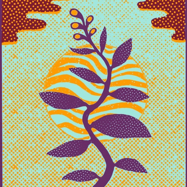 Moonrise Orb Weaver album cover