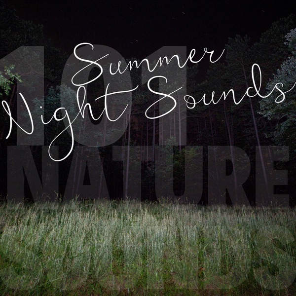 Summer Night Sounds album cover