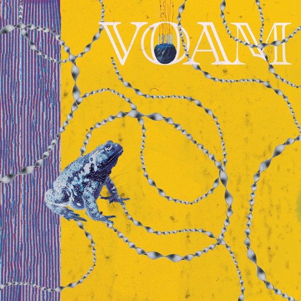 Feeling Horizontal - Single album cover