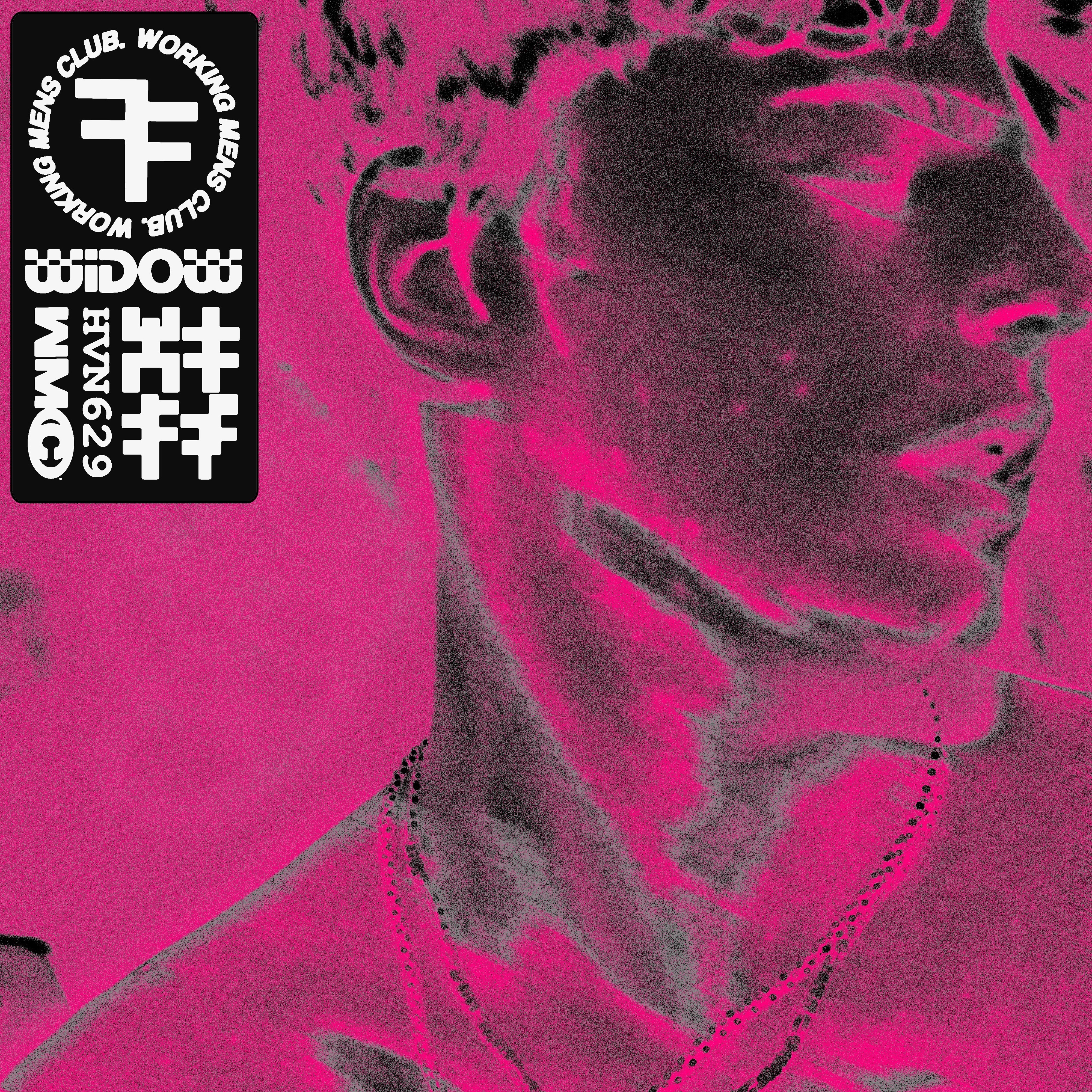 Widow (Gabe Gurnsey Remixes) - Single album cover