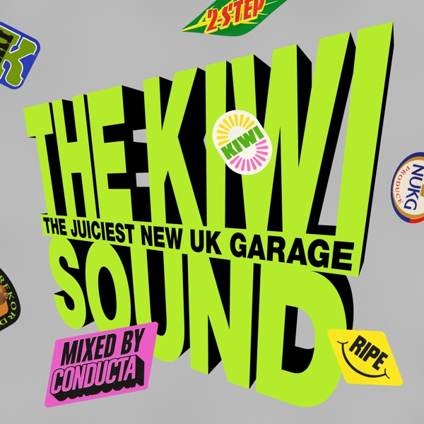 The Kiwi Sound (DJ Mix) album cover