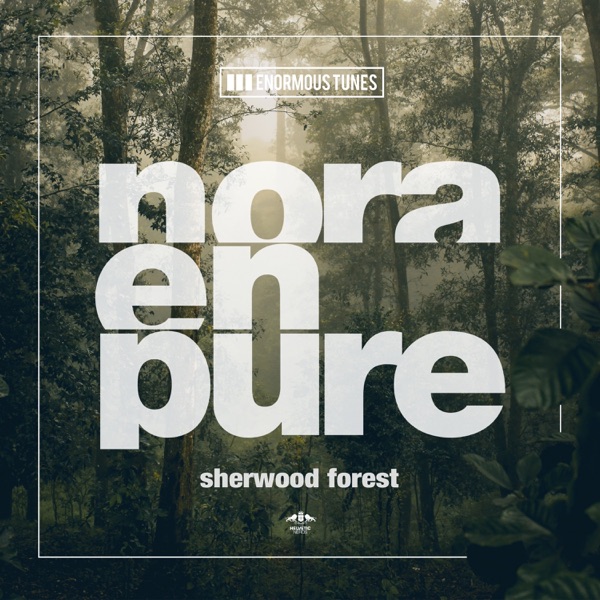 Sherwood Forest - Single album cover