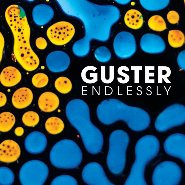 Endlessly (Radio Edit) - Single album cover