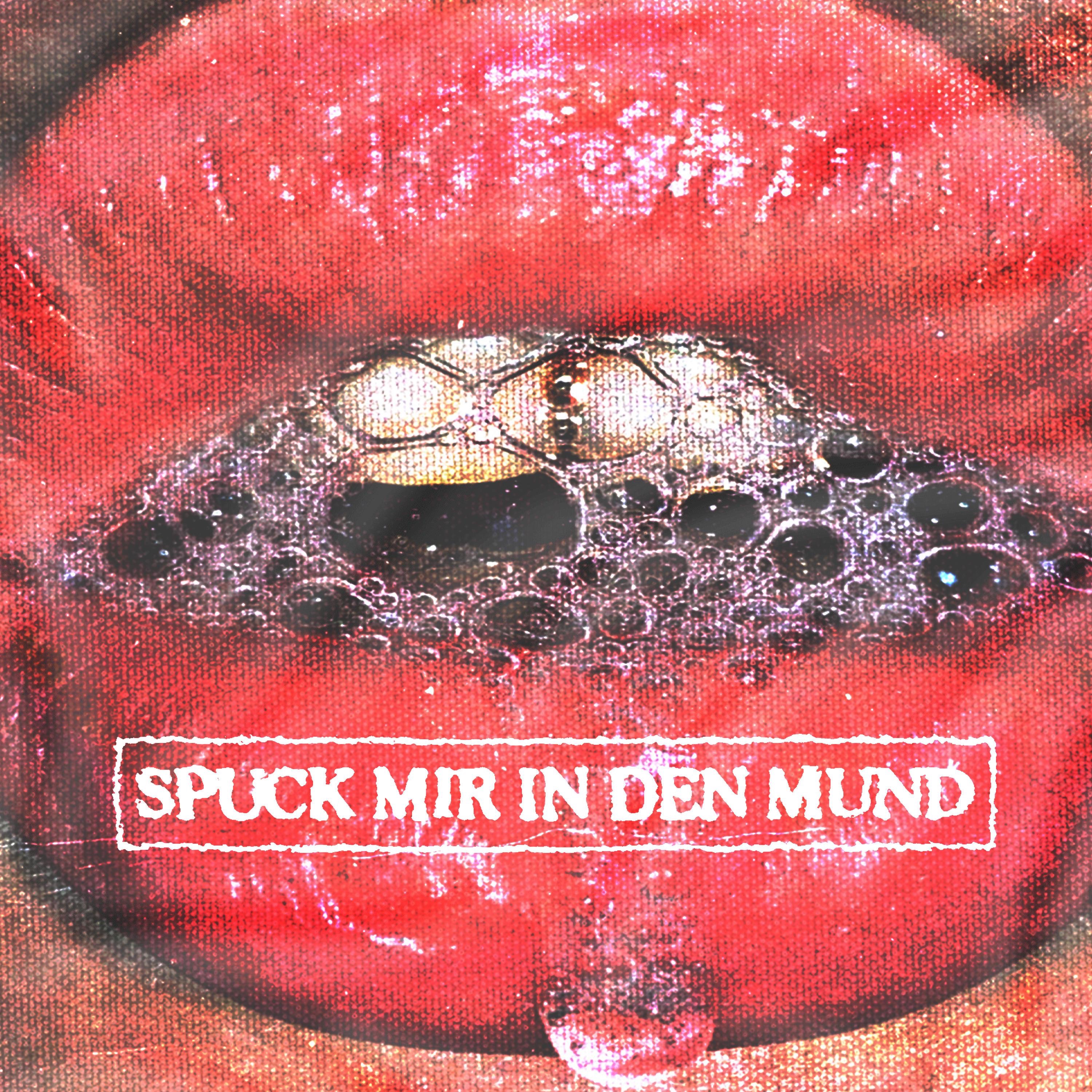 Spuck mir in den Mund - Single album cover