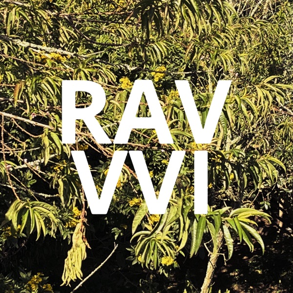 VVI - Single album cover
