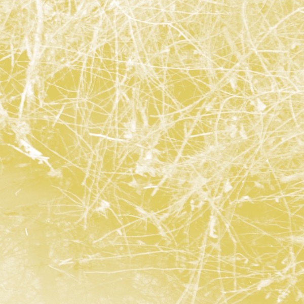 Cursory Asperses album cover