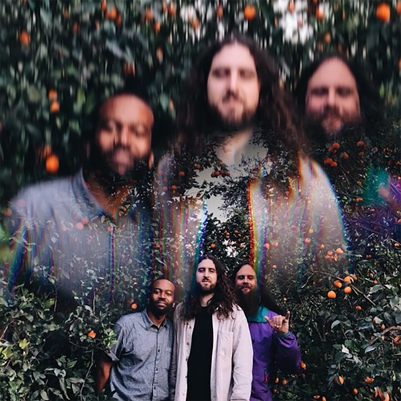 Ojai Orange Grove Concert (Live in Ojai) album cover