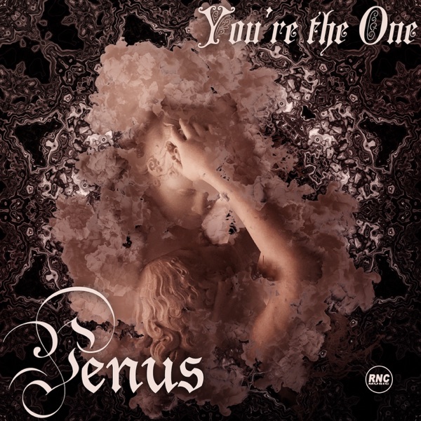 You're The One - Single album cover