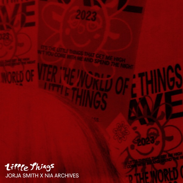 Little Things (Nia Archives Remix) - Single album cover