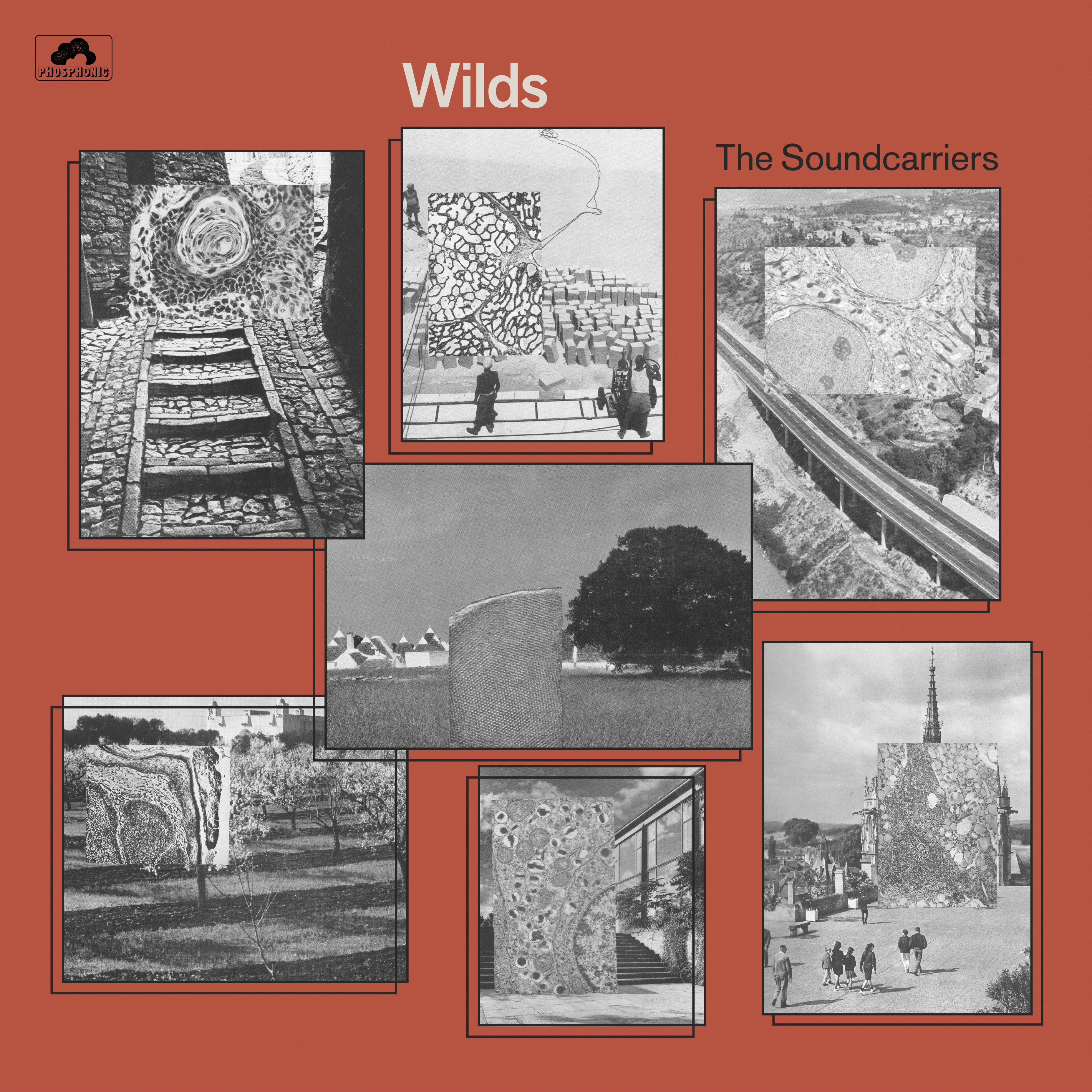 Wilds album cover