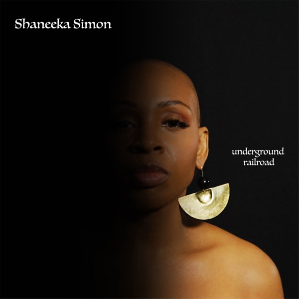 Underground Railroad (feat. Eric Bibb) - Single album cover