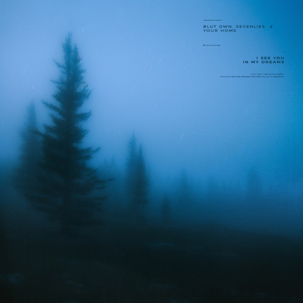 I See You In My Dreams - Single album cover