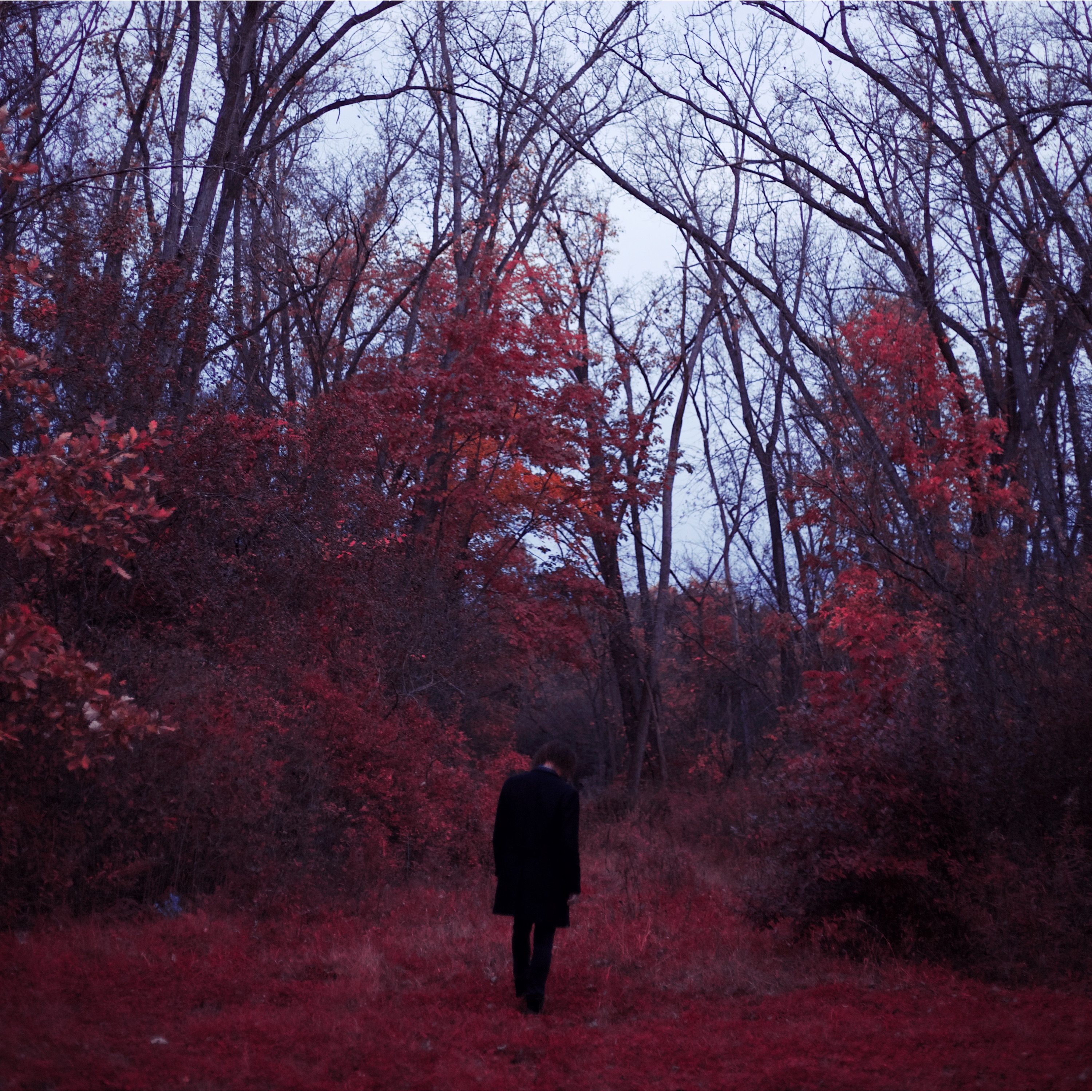 Eric Christian portrait