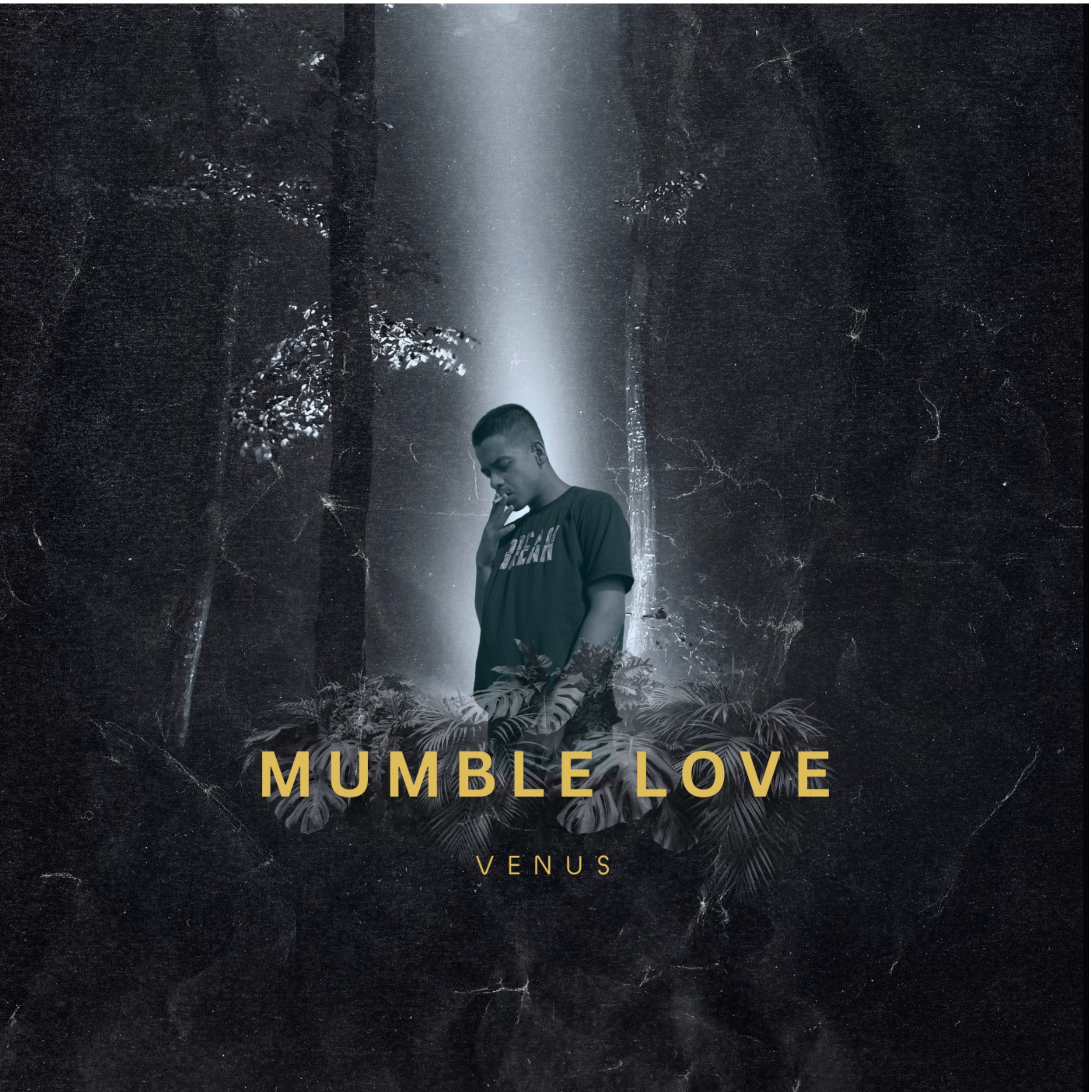 Mumble Love - Single album cover