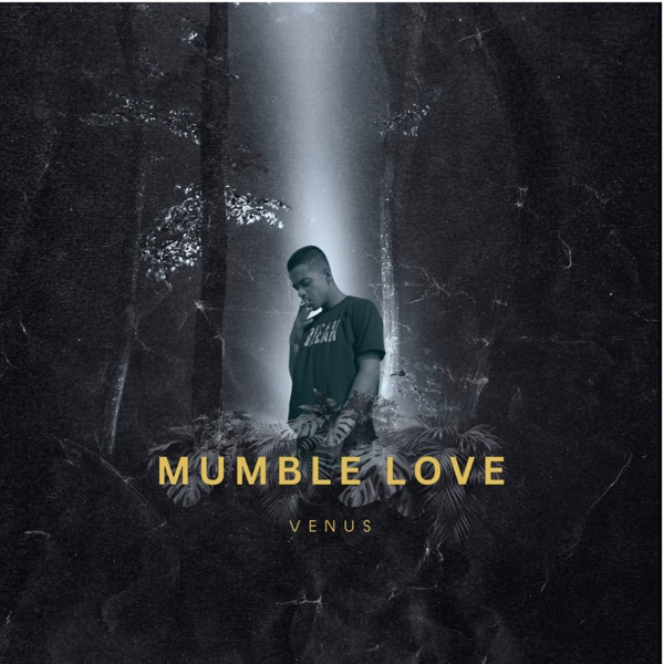 Mumble Love - Single album cover