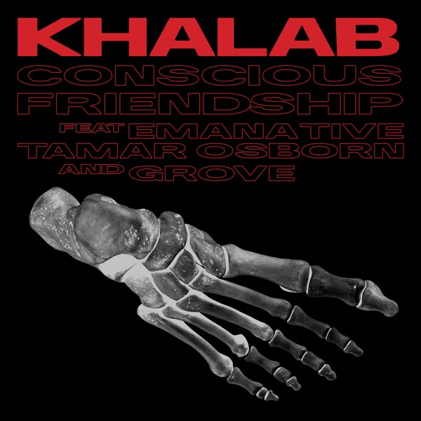 Conscious Friendship (feat. Emanative, Tamar Osborn & Grove) - Single album cover