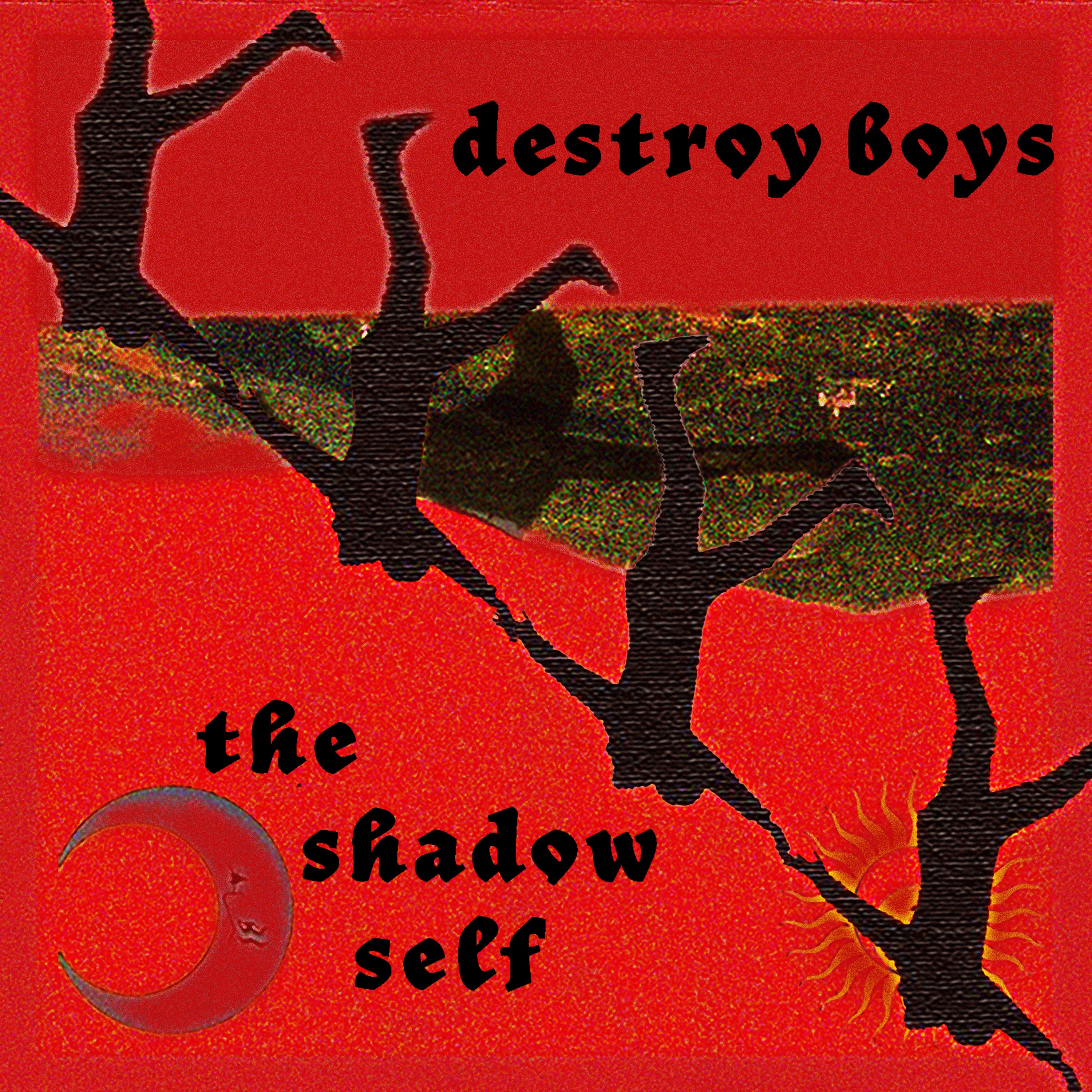 The Shadow Self - Single album cover