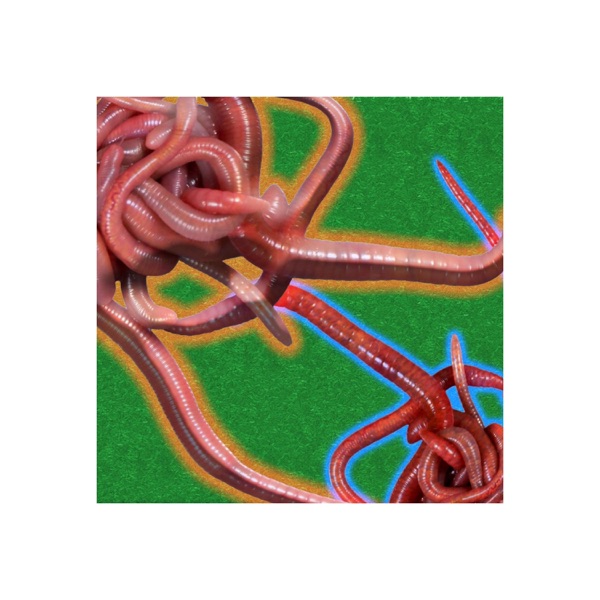 I Drink Her P1ss - Single album cover