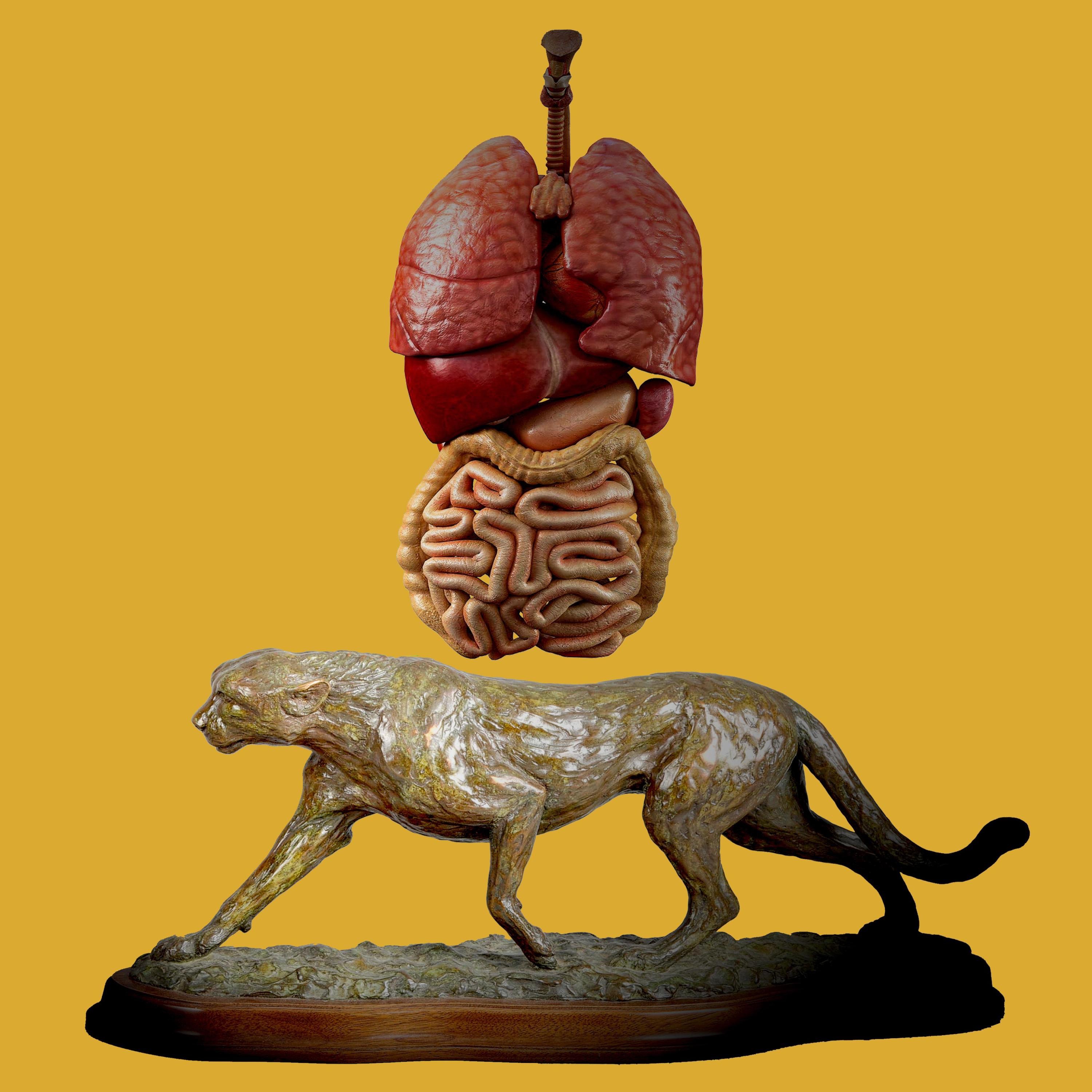 Three Sided Tape Volume One album cover