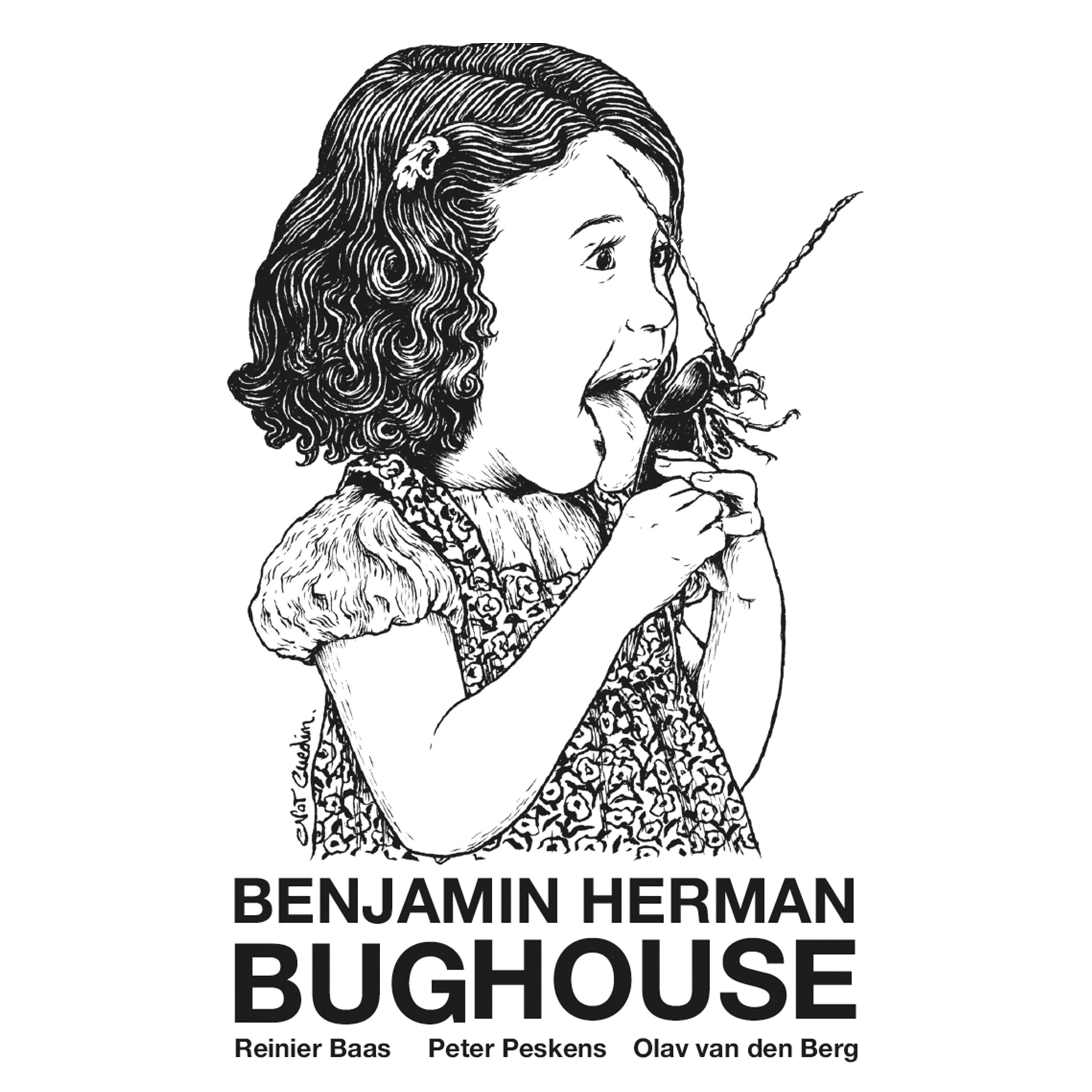 Bughouse (feat. Reinier Baas, Peter Peskens & Olav van den Berg) album cover