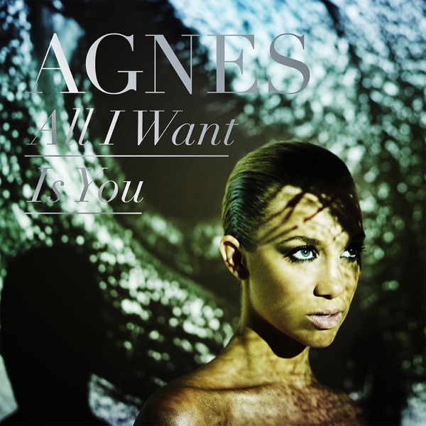 All I Want Is You - Single album cover
