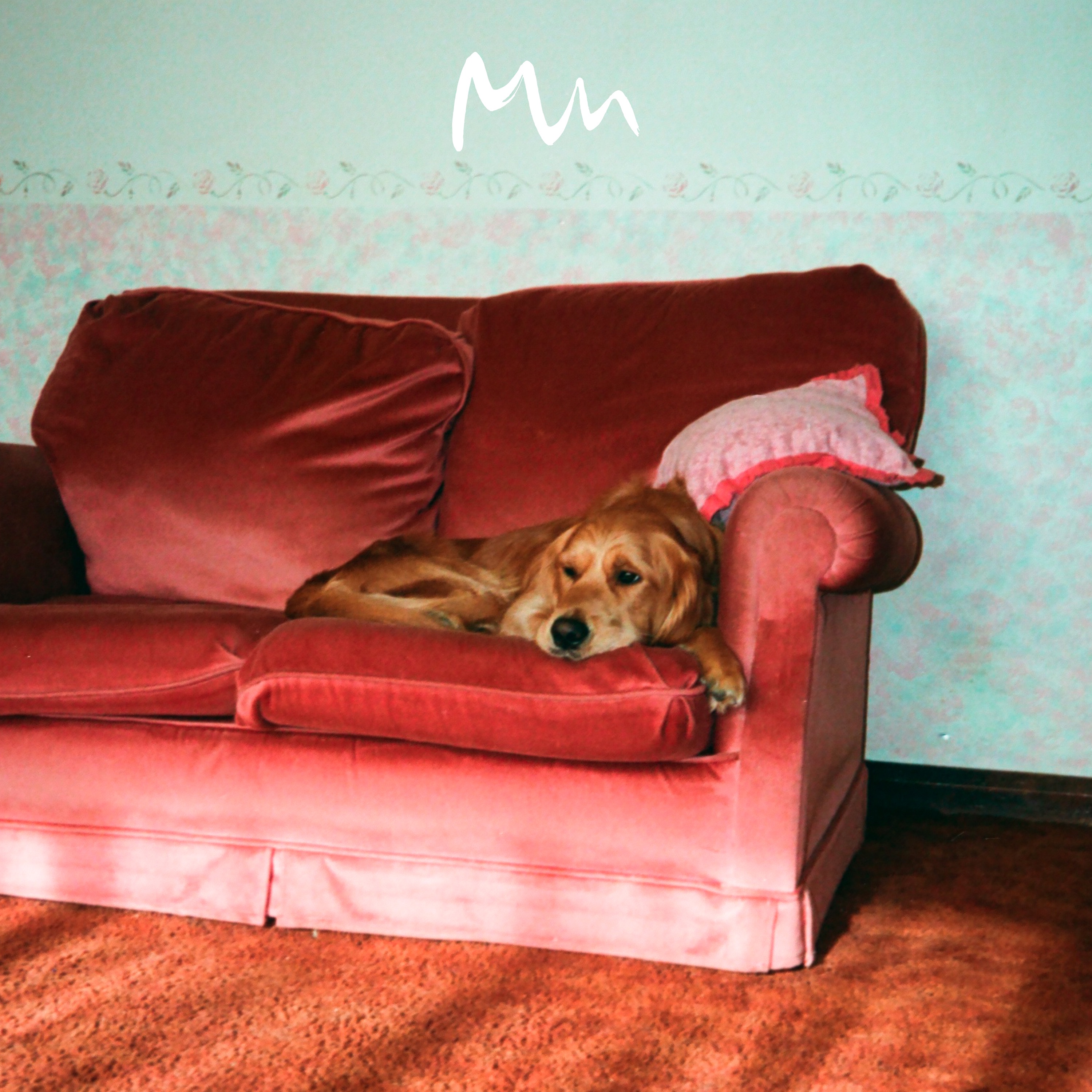 I Feel You Feel album cover