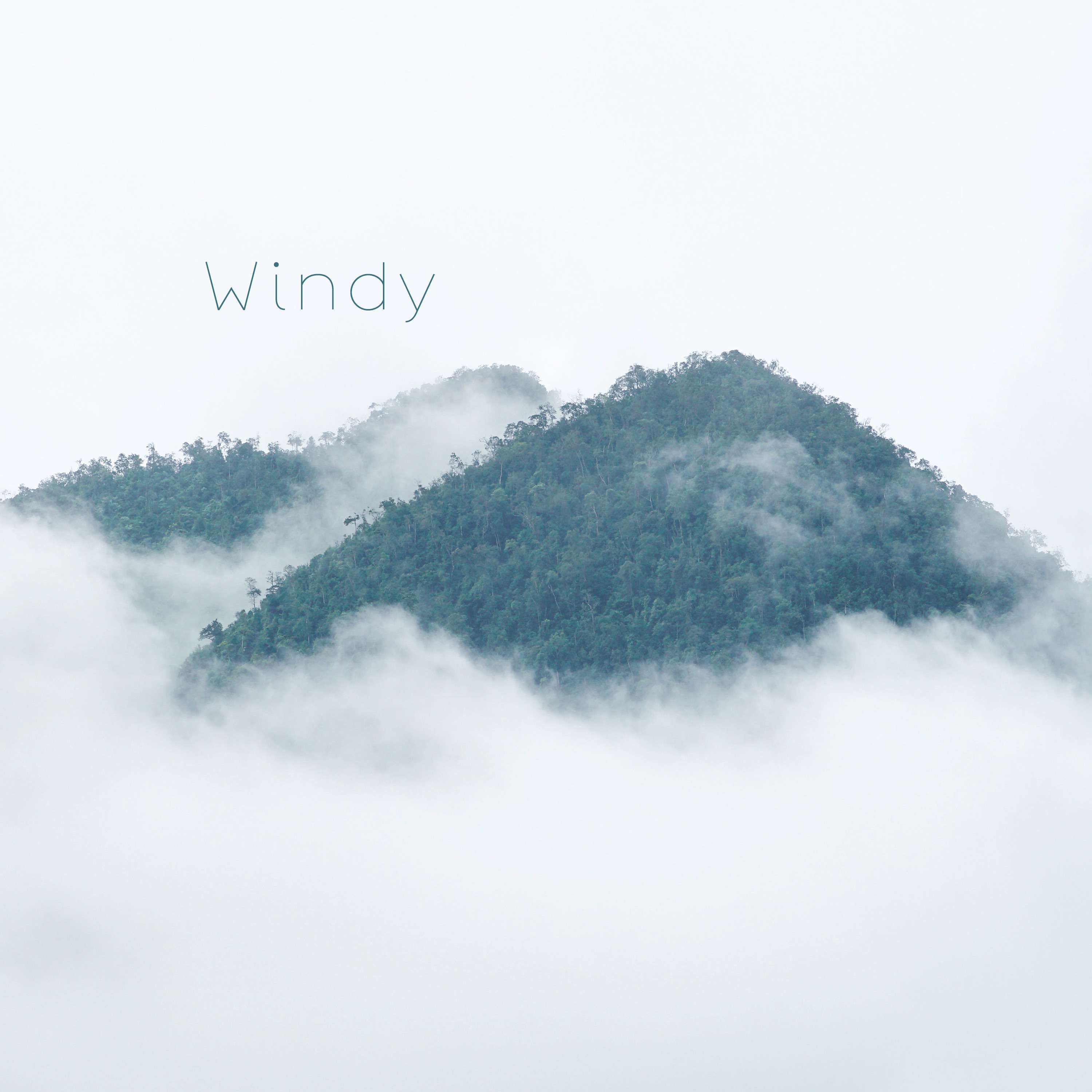 Windy - Single album cover
